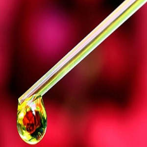 Aceite de Pino